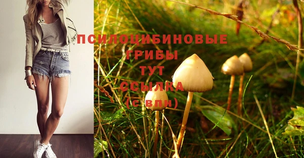 прущие крисы Покровск