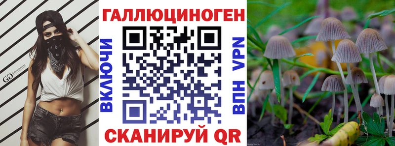 даркнет состав  Солигалич  Псилоцибиновые грибы Psilocybine cubensis 